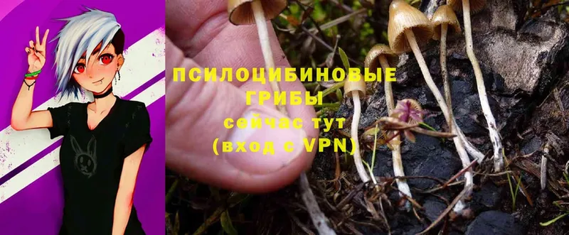 Псилоцибиновые грибы MAGIC MUSHROOMS  Павлово 